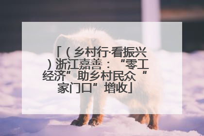 （乡村行·看振兴）浙江嘉善：“零工经济”助乡村民众“家门口”增收