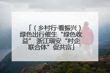 （乡村行·看振兴）绿色出行催生“绿色收益” 浙江瑞安“村企联合体”促共富