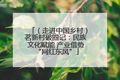 （走进中国乡村）茗新村破圈记：民族文化赋能 产业借势 “网红东风”