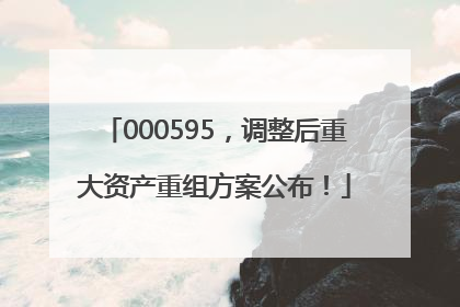 000595，调整后重大资产重组方案公布！