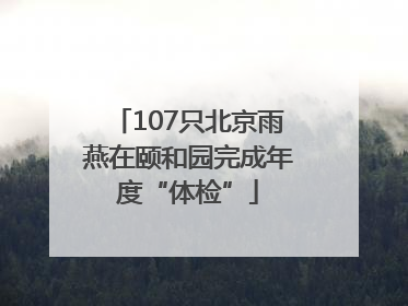 107只北京雨燕在颐和园完成年度“体检”