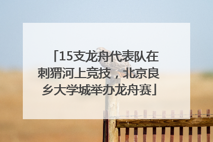 15支龙舟代表队在刺猬河上竞技，北京良乡大学城举办龙舟赛