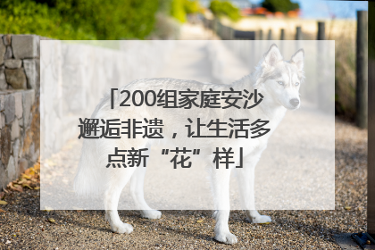 200组家庭安沙邂逅非遗，让生活多点新“花”样