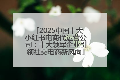 2025中国十大小红书电商代运营公司：十大领军企业引领社交电商新风向