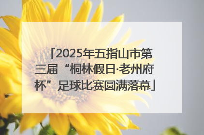 2025年五指山市第三届“桐林假日·老州府杯”足球比赛圆满落幕