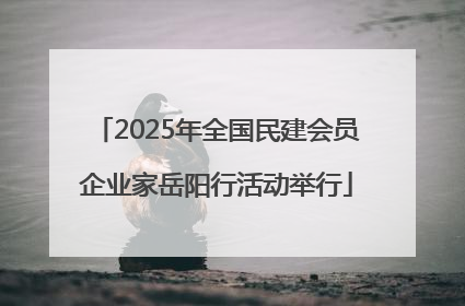 2025年全国民建会员企业家岳阳行活动举行