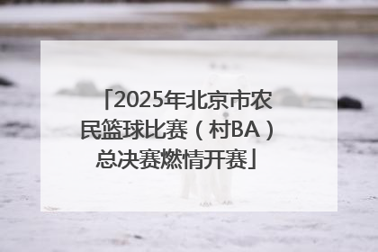 2025年北京市农民篮球比赛（村BA）总决赛燃情开赛