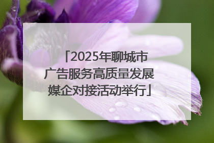 2025年聊城市广告服务高质量发展媒企对接活动举行