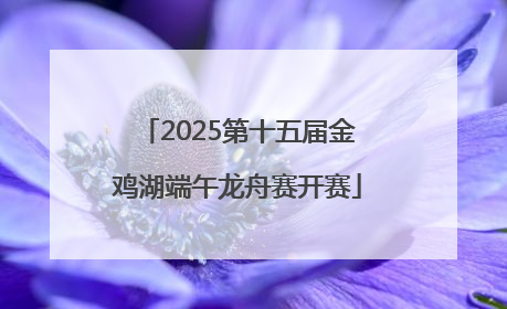 2025第十五届金鸡湖端午龙舟赛开赛