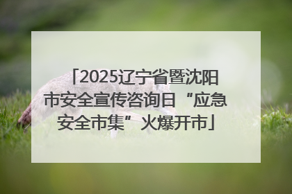 2025辽宁省暨沈阳市安全宣传咨询日“应急安全市集”火爆开市
