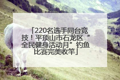 220名选手同台竞技！平顶山市石龙区“全民健身活动月”钓鱼比赛完美收竿