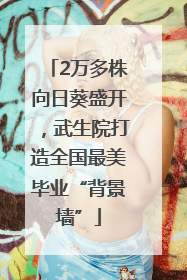 2万多株向日葵盛开，武生院打造全国最美毕业“背景墙”