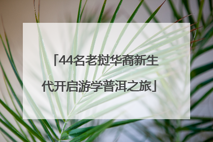 44名老挝华裔新生代开启游学普洱之旅