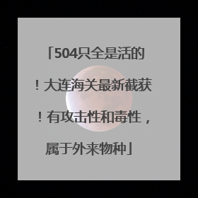 504只全是活的！大连海关最新截获！有攻击性和毒性，属于外来物种