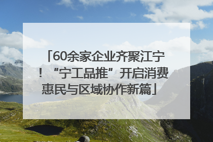 60余家企业齐聚江宁！“宁工品推”开启消费惠民与区域协作新篇