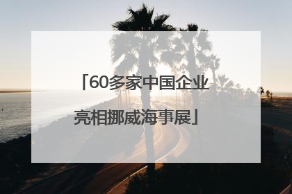 60多家中国企业亮相挪威海事展