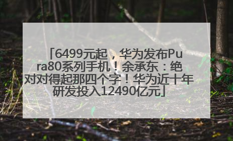 6499元起，华为发布Pura80系列手机！余承东：绝对对得起那四个字！华为近十年研发投入12490亿元