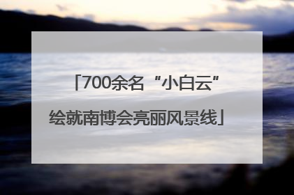 700余名“小白云”绘就南博会亮丽风景线