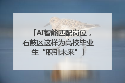 AI智能匹配岗位，石鼓区这样为高校毕业生“职引未来”
