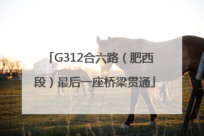 G312合六路（肥西段）最后一座桥梁贯通