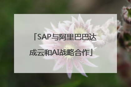SAP与阿里巴巴达成云和AI战略合作